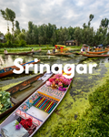 Srinagar